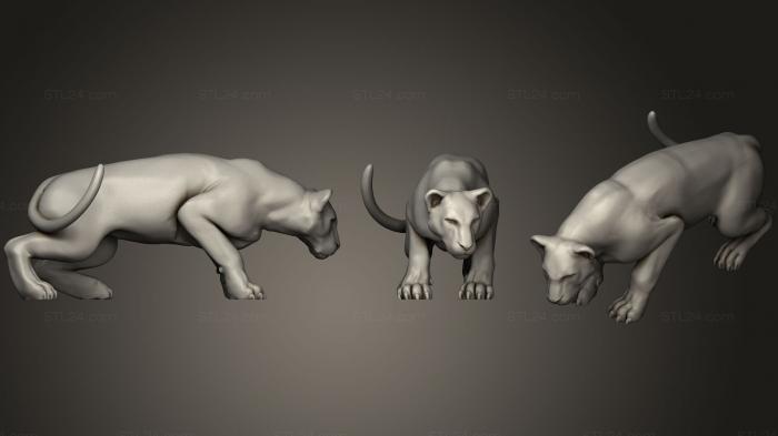Статуэтки животных (Тигр, STKJ_1557) 3D модель для ЧПУ станка